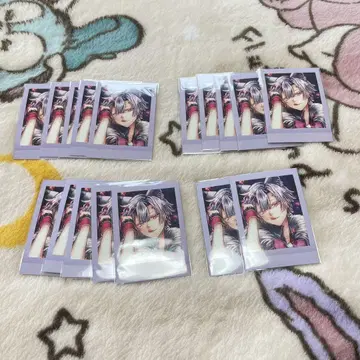 악마 집사와 검은 고양이 악마 고양이 파샤 이건 할로윈 아몬
