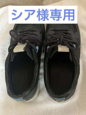 에코 신발