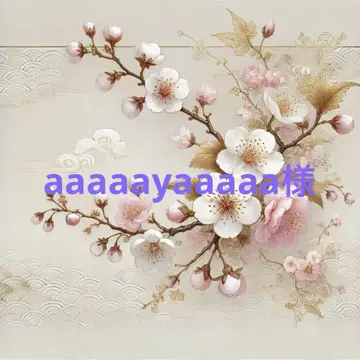 aaaaayaaaaa 님 LOUNGEDRESS 린넨 라이크 시어 자켓