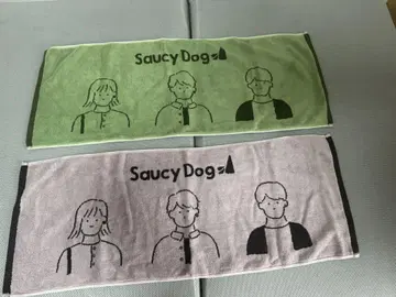 Saucy dog 롱 T 타월 세트