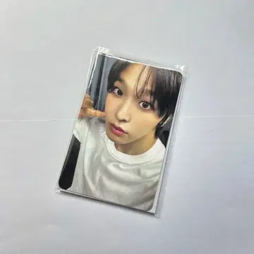 nctwish 위시 전시회 티셔츠 트레이딩 카드 리쿠