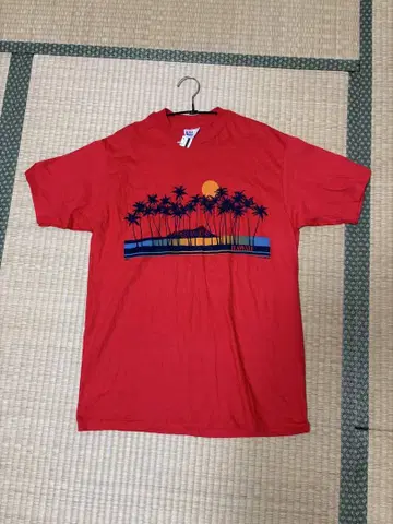 Hanes BEFFY-T 80s 데드스탁 미국산
