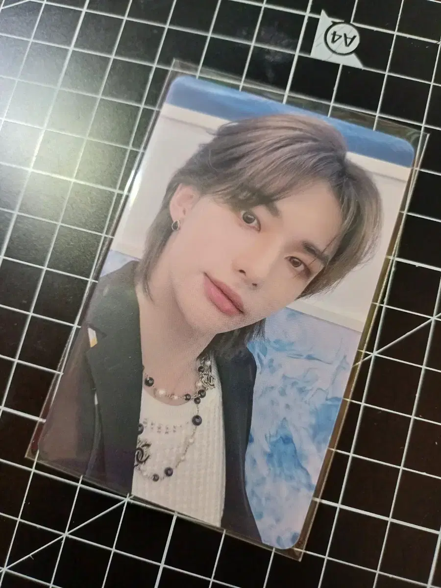 스키즈 현진 맥시던트럭드 포카