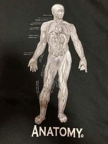 인체 해부도 Anatomy 티셔츠