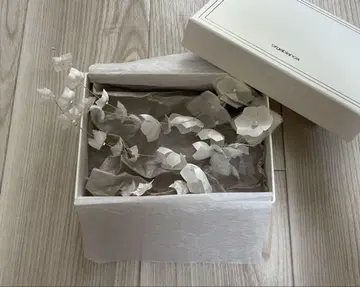 오르가 블랑카 소와 SOWA 귀찌