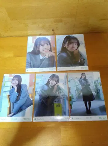 브로마이드 Nogizaka46 '17분' 스가하라 사츠키 5종 컴프