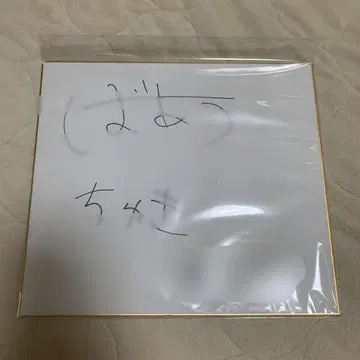 KnightA 기사 A 바우군 색지 사인 포함