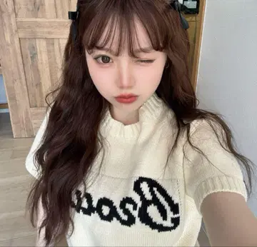RiLi 로고 니트 반팔 스웨터 썸머 니트