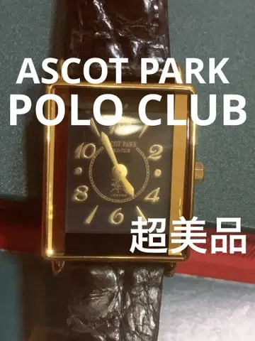 아스코트 파크 폴로 클럽