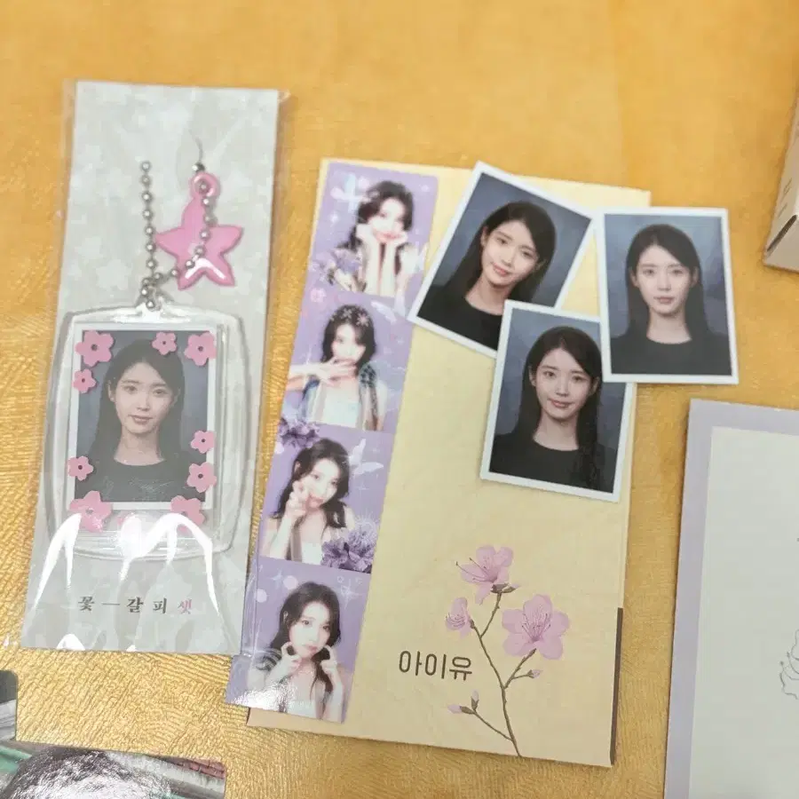 IU 꽃 - 갈피들　花しおり2 IU 꽃 - 갈피들 花しおり2 IU (아이유) - 꽃갈피 (A Flower