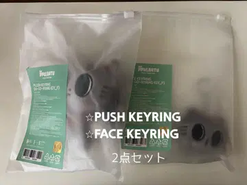 TXT PPULBATU 다고냥 부시 키링 페이스 키링