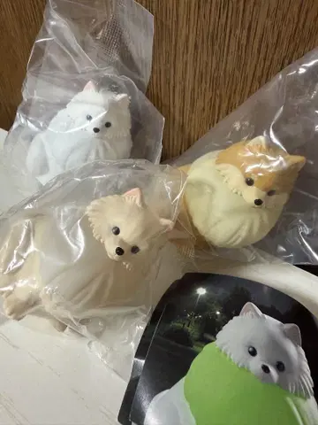 산책 포메 라이트 3종 세트