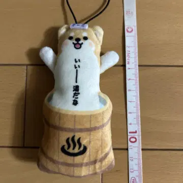노비시바 온천, 정말 따뜻하네요 시바견, 느긋하게