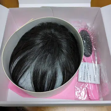 긴자 살롱 KAZUE WIG (포인트 가발)