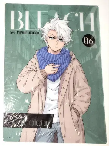 BLEACH 블리치 히즈카야 토시로 클리어 비주얼 시트