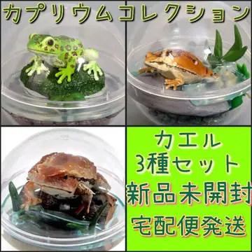 카프리움 컬렉션 개구리 3종 세트 미개봉 새상품 가챠