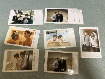 드라마 미성년자 트레이딩 카드 정리