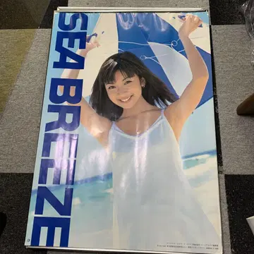 SEA BREEZE 모치다 카오리 ELT
