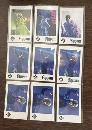 KnightA 랜덤 포토 카드(Glitter Spring ver.)