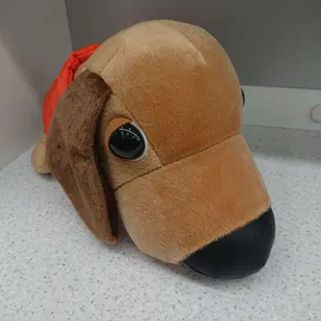 THE DOG BIG 봉제 인형 덕스 베스트 포함