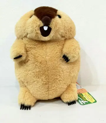 마모트의 모토토 JB 봉제 인형 아타로