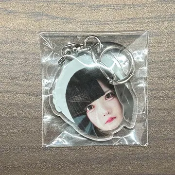 하우키 고양이 고양이 하우 아크링 키링