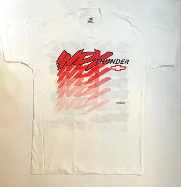 90s FRUIT OF THE LOOM 티셔츠 모터 기업