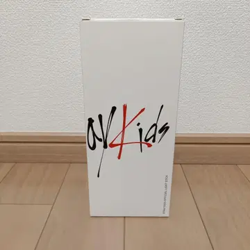 스트레이 키즈 공식 라이트 스틱