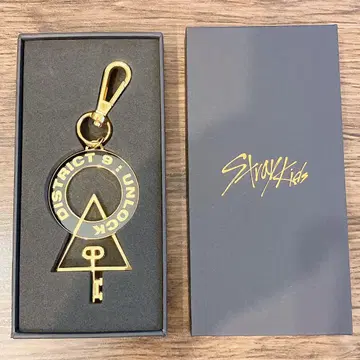 straykids 스키즈 DISTRICT9 UNLOCK 투어 로고 참
