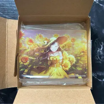 노블 아트 시로이시 안 vol.44