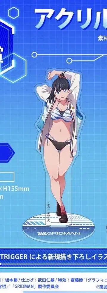 SSSS.GRIDMAN 온라인 복권 B상 호타 루카 아크릴 스탠드 B