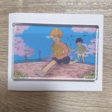 망각 배터리 아크릴 블록 컬렉션