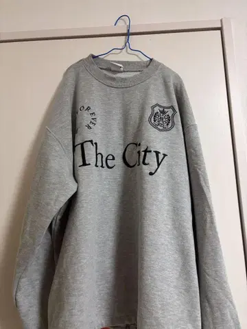 WISH FOREVER 그레이 맨투맨 The City