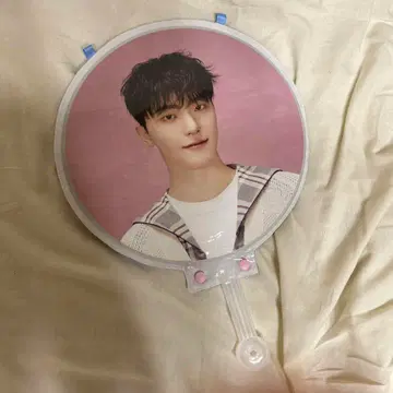 SEVENTEEN 디노 부채 carat land