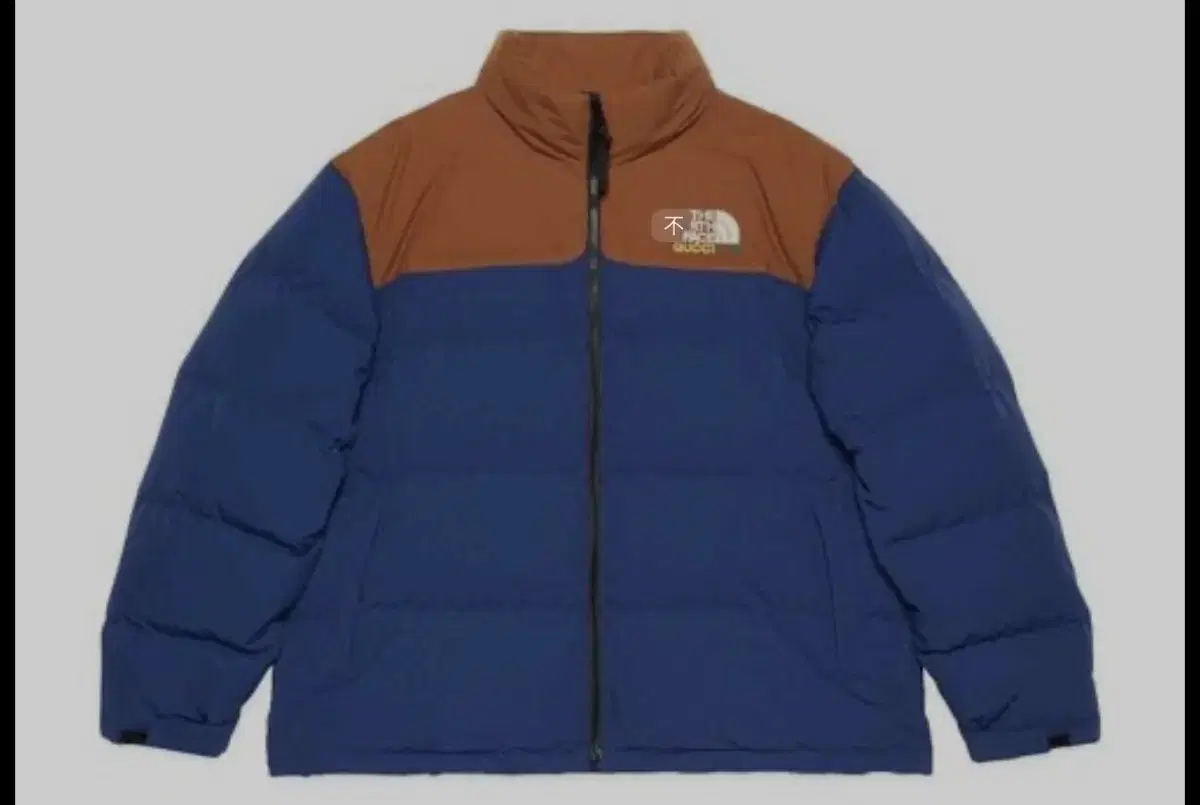 Gucci x Northface down jacket
