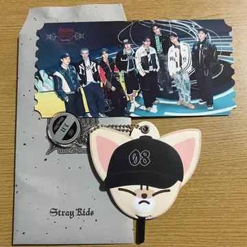 Stray Kids 아이엔 부채 키링