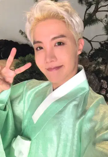 BTS J-HOPE 2021 달마정 31/56