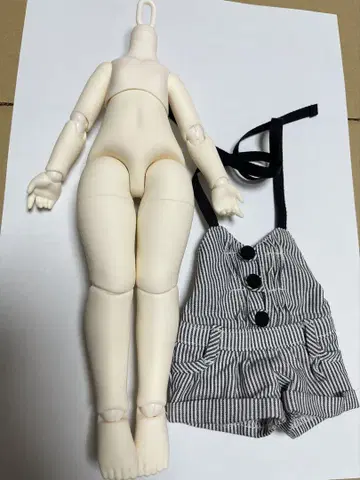 tinyfox 바디 화이트 1/6 스케일
