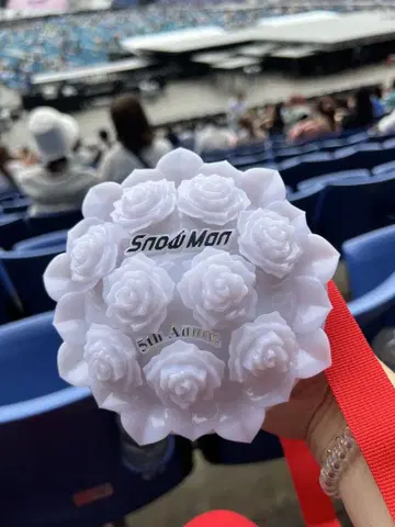 SnowMan 스타디움 투어 응원봉
