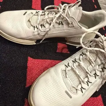 ECCO BIOM 2.0 43