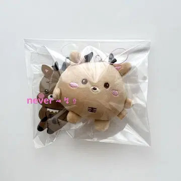 RIIZE 라이즈 성찬 미니 인형 키링 봉제 인형