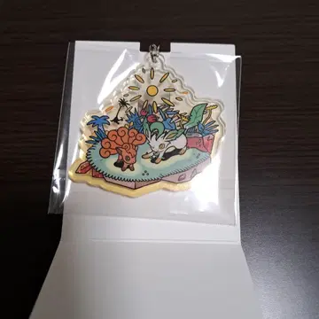 포켓몬 OTENKI TEAM 히데리 바스락 아크릴 키링