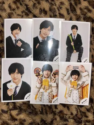 오카자키 타이로 공식 사진