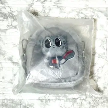 TXT 풀바투 다고냥 태현 파우치