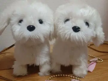 개 봉제 인형 2개 세트 화이트 약 22cm 산책 강아지