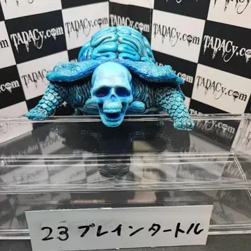 23 브레인 터틀