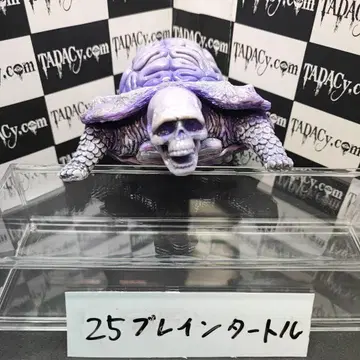 25 브레인 터틀