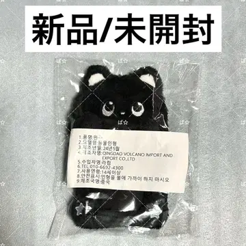RIIZE 트레이딩 카드 케이스 카드 폴더 Nyangbbi 냥삐 원빈