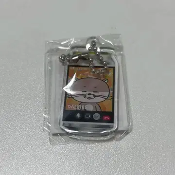 BOYNEXTDOOR 리우 펑크드 달링 키링