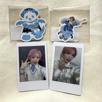 파라곤 타이 가 세트
